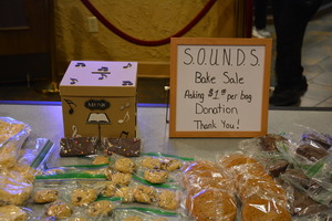 Owen County Indiana<br />
 S.O.U.N.D.S. Musical Arts Programs  Fall Concert 2024 Fundraiser